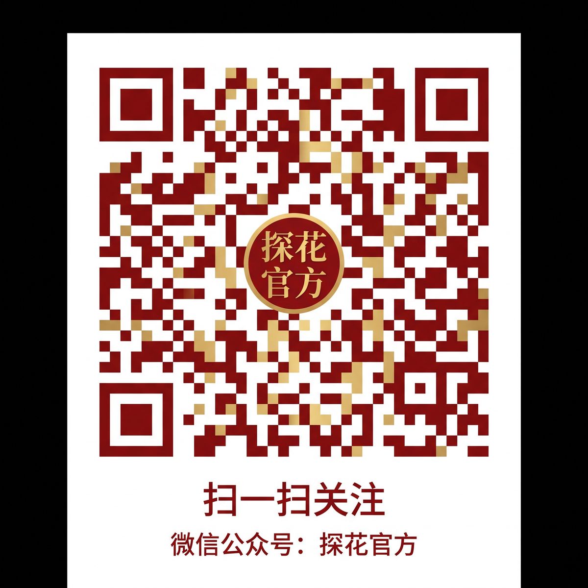 网红主播公众号二维码